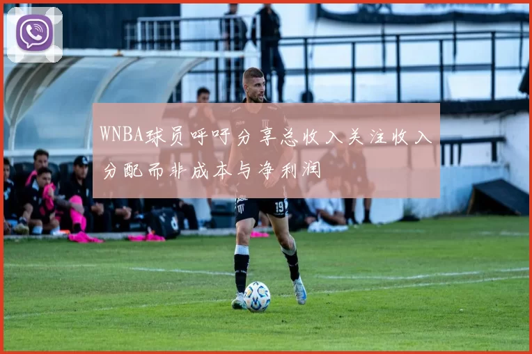 WNBA球员呼吁分享总收入关注收入分配而非成本与净利润