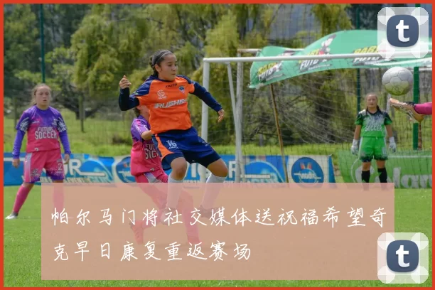帕尔马门将社交媒体送祝福希望奇克早日康复重返赛场